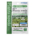 [特長]：■ソイルの上に種を蒔くだけで気温が約20℃~34℃の環境であれば7~14日程で簡単に発芽します。[仕様]：■1g×3袋入り■目安として1袋（1g）で30cm水槽一面を覆います。