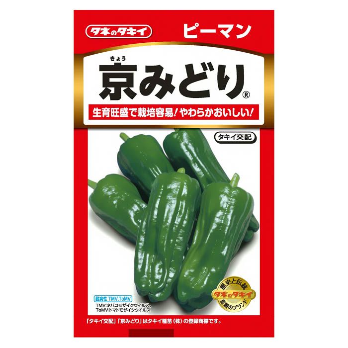 色ツヤがよく、盛夏でも色あせしにくく、低温期にも黒アザ果がほとんど出ない夏秋どり中型種。果肉はやや薄めでやわらかく、高温期でもかたくなりにくく、食味に優れる。草勢旺盛で作りやすく、たくさんとれる。平均果重 30g