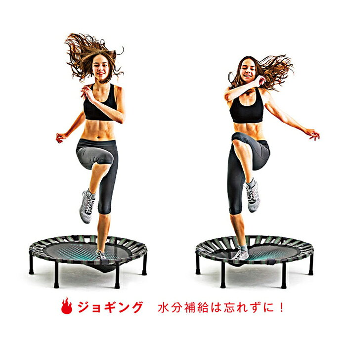 La-VIE ダイエットステップ 3B-5100