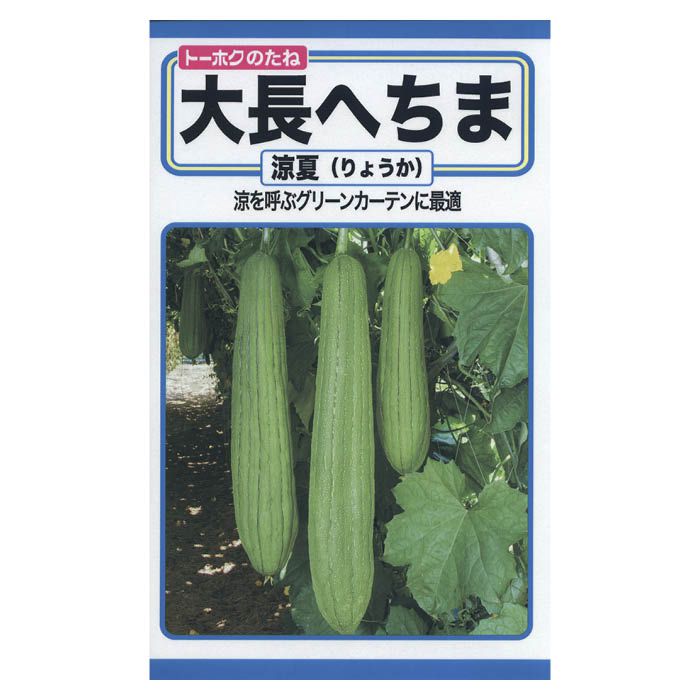 つるが旺盛に伸び、夏の日除けなどのグリーンカーテンに最適。