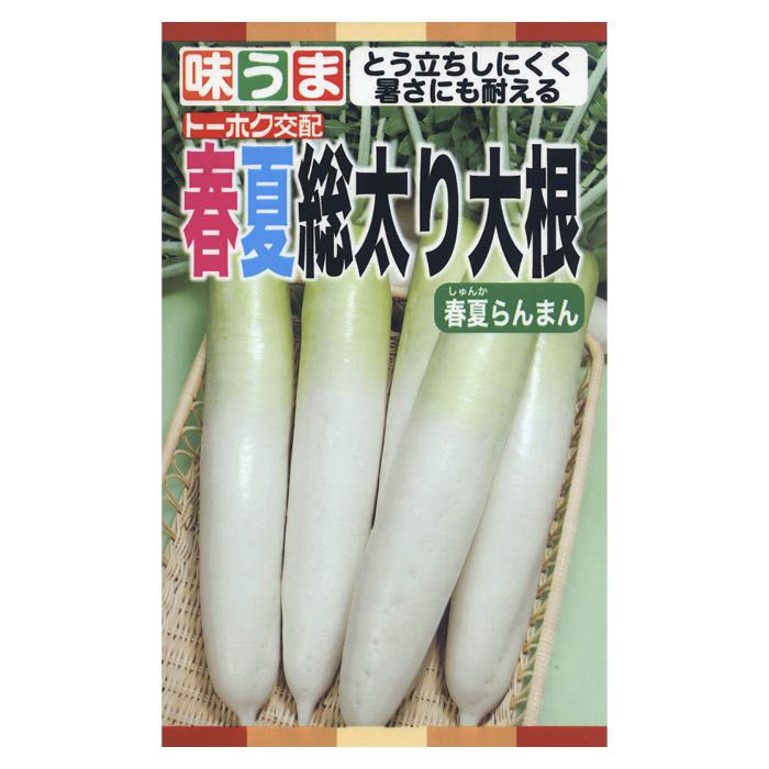 春のとう立ちと夏の暑さによる生理障害の両方に優れた耐性を持ち、肉質やわらかく美味しい品種。