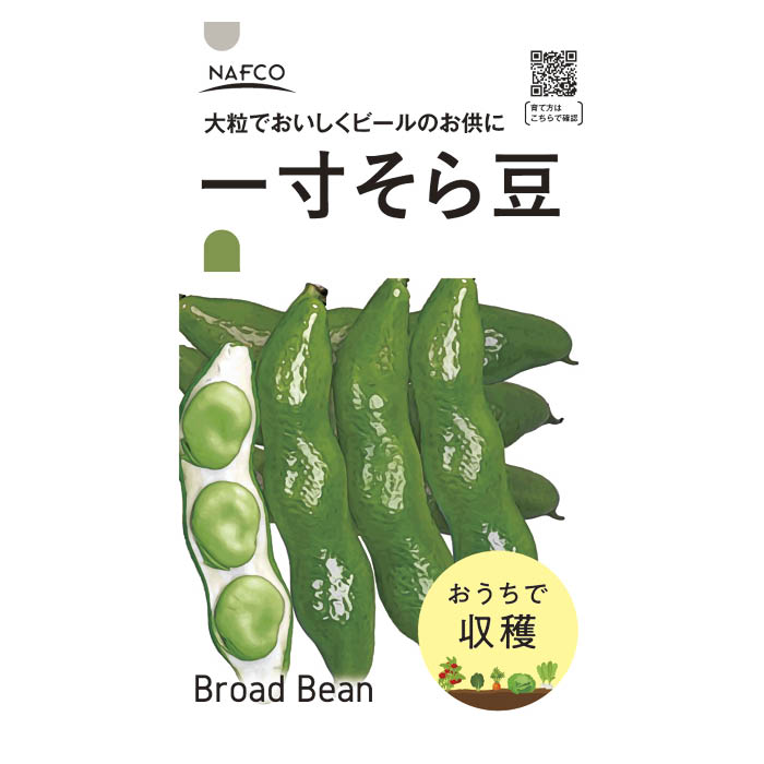 おうちで収穫　野菜の