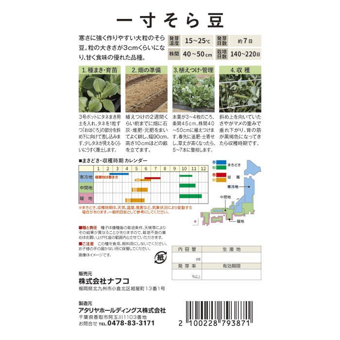 【エントリーでポイント10倍】おうちで収穫　野菜の種 一寸そら豆【2025/12/4 20:00 - 2025/12/11 01:59】