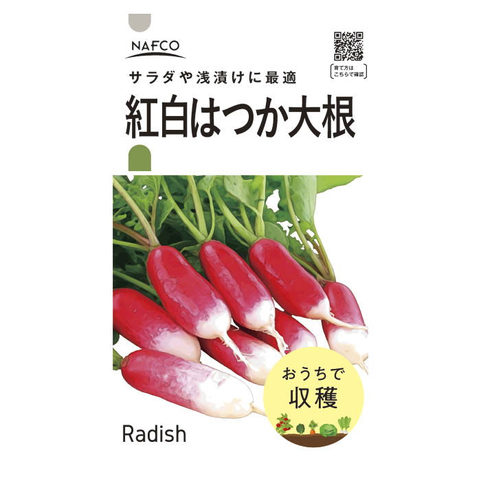 【エントリーでポイント10倍】おうちで収穫　野菜の種 紅白はつか大根【2024/5/9 20時 - 5/16 1時59分】