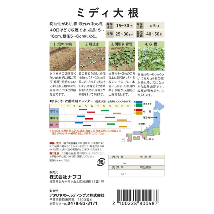 おうちで収穫　野菜の種 ミディ大根