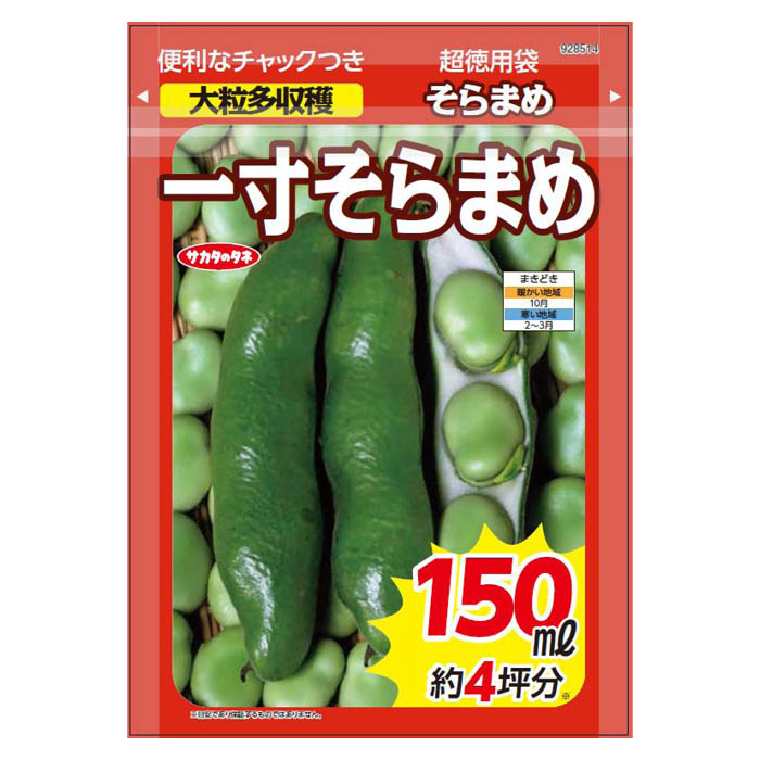 寒さにも比較的強く、作りやすい品種