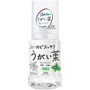健栄製薬 のどスッキリうがい薬ミント 300ML