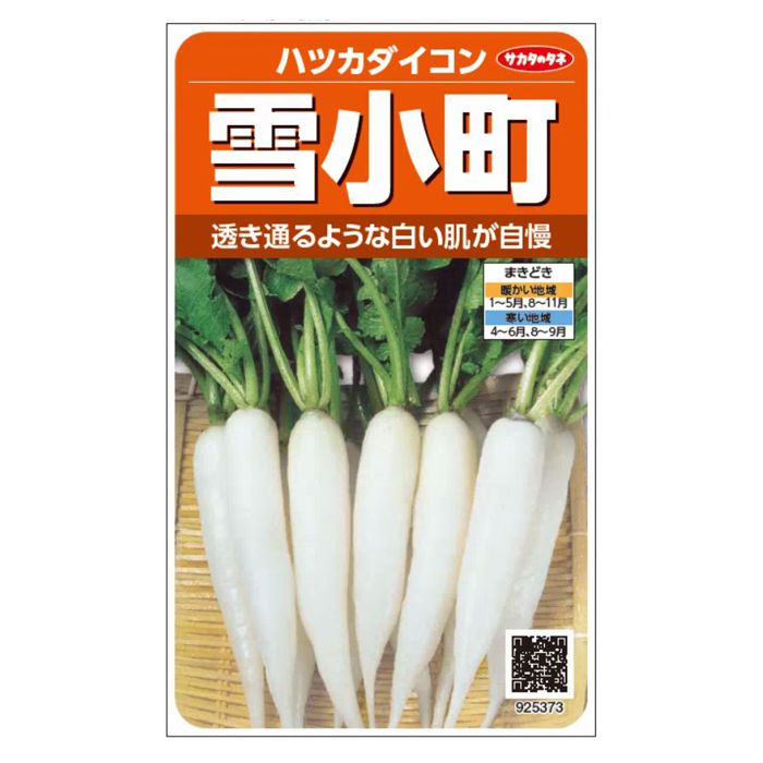 サカタのタネ ハツカダイコン 雪小町