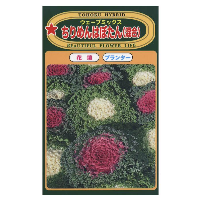 【エントリーでポイント10倍】ハボタン ちりめんはぼたん混合【2025/12/4 20:00 - 2025/12/11 01:59】