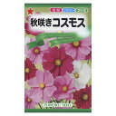 コスモス 秋咲きコスモス
