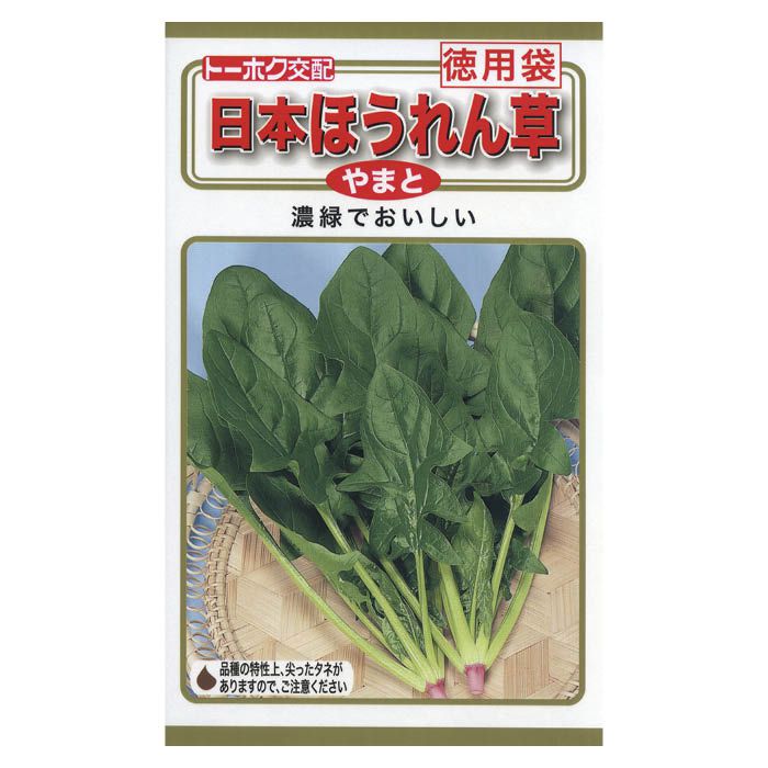 濃緑で照りのある日本ほうれん草の食味を持つ交配種※蒔き時期、収穫・開花時期等はパッケージ裏面の記載をご確認ください。※育成目安については、環境による変動があるため、これを保証するものではございません。※内容量、生産地、発芽率、有効期限などについては、種の生産時期によって変わる場合がございます。