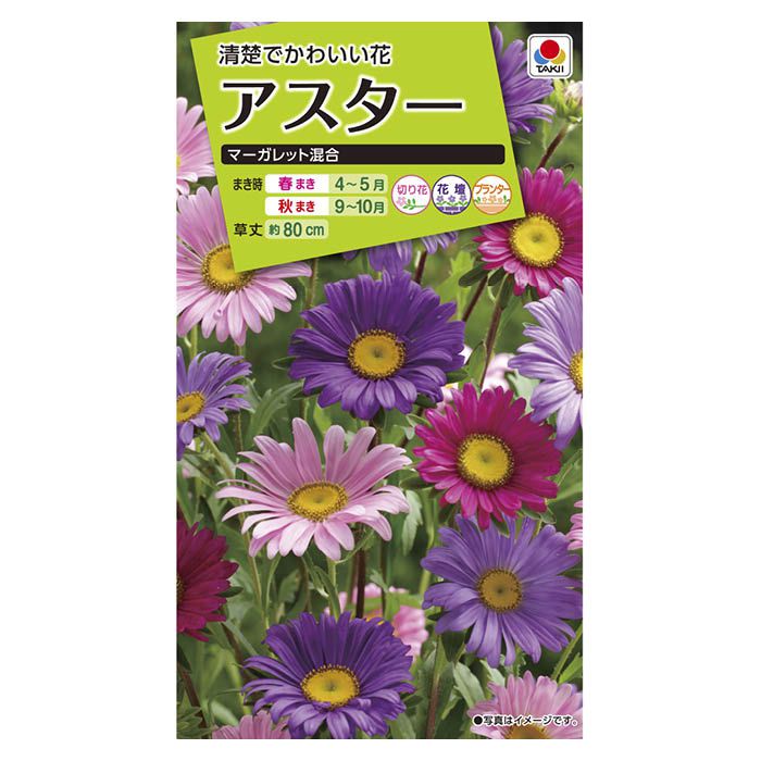 Rakuten - タキイ種苗 アスター　マーガレット混合 FAS610