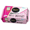 大王製紙 ホーム&パーソナルケア エリエール キレキラ フロアワイパー 徹底キレイ ドライシート 40枚