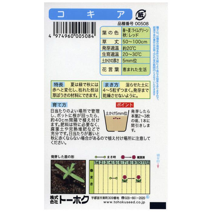 �ȡ��ۥ� �ۥ������� ������