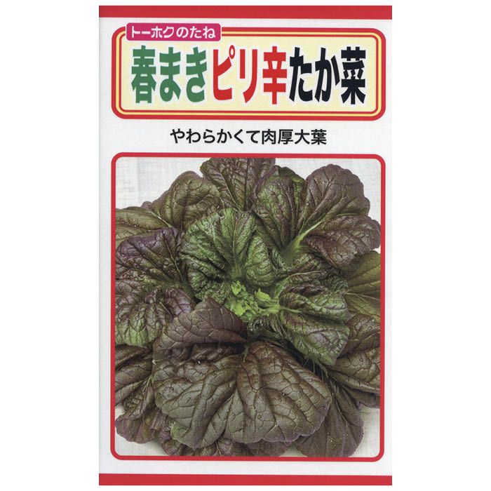 【エントリーでポイント10倍】トーホク タカナ 春まきピリ辛たか菜【2024/5/9 20時 - 5/16 1時59分】