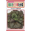 【エントリーでポイント10倍】トーホク タカナ 春まきピリ辛たか菜【2024/4/24 20時 - 4/27 9時59分】