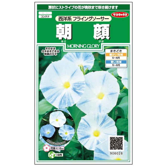 サカタのタネ 朝顔 西洋系 フライングソーサ