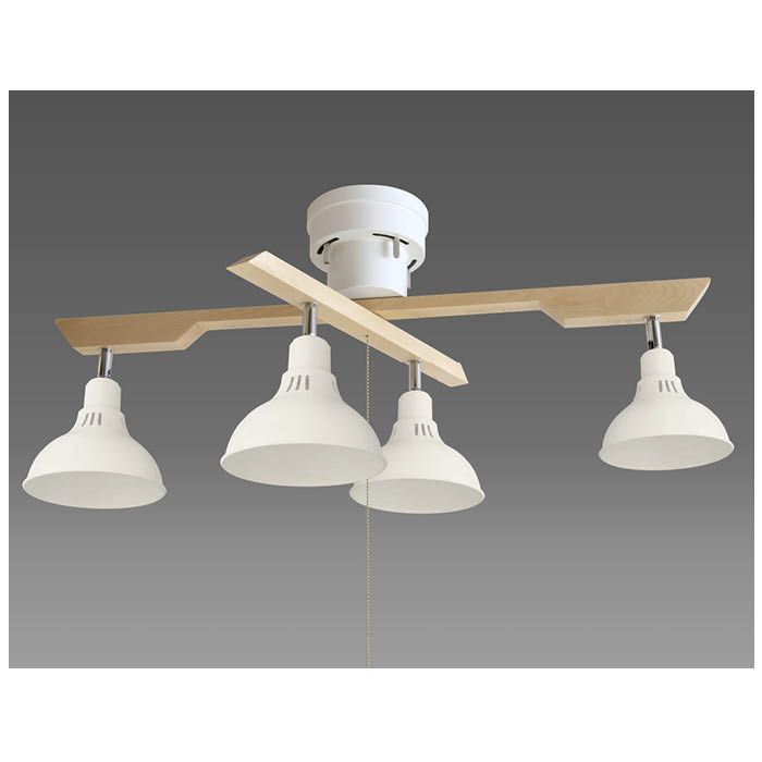 タキズミ LEDインテリア照明 DN4021RSWH