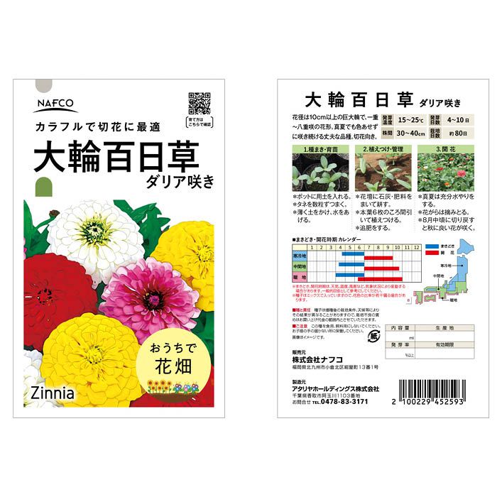 おうちで収穫 花の種 大輪百日草