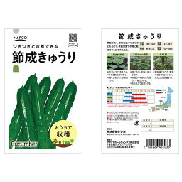 おうちで収穫 野菜の種 節成胡瓜