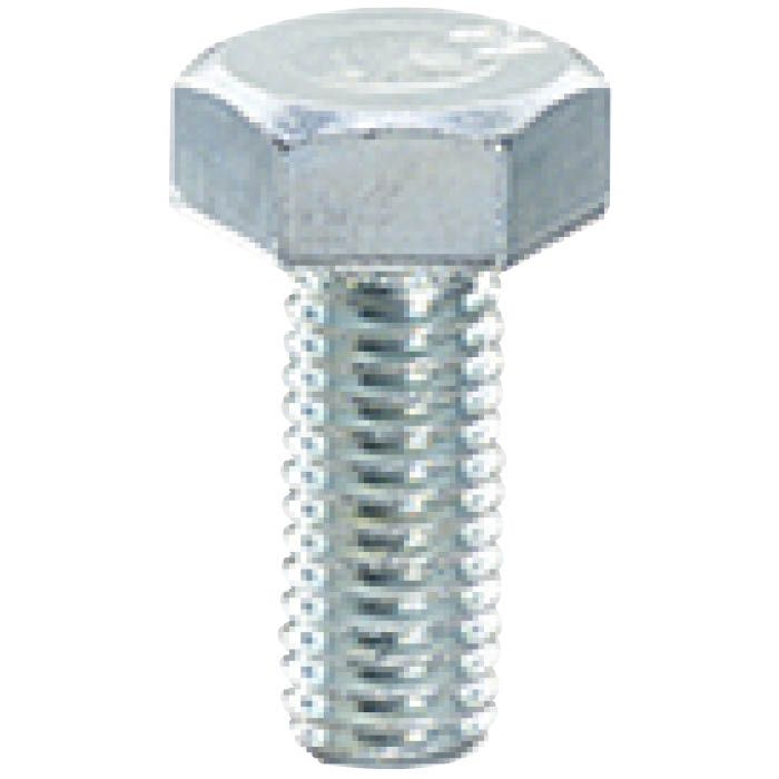 ۡץ饶ʥեŷԾŹ㤨֡ڥȥ꡼ǥݥ10ܡȬȨͤ ϻѥܥͤ M10302025/12/4 20:00 - 2025/12/11 01:59ۡפβǤʤ48ߤˤʤޤ