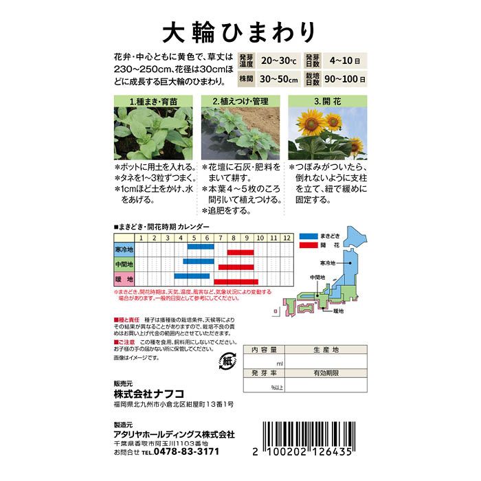 おうちで収穫 花の種 大輪ひまわり