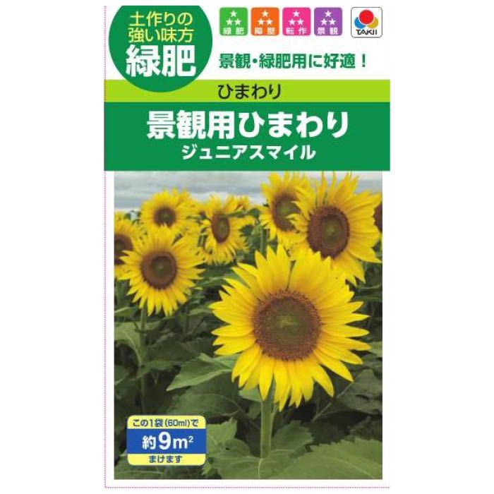 【エントリーでポイント10倍】タキイ種苗 緑肥 景観用ひまわり　ジュニアスマイル【2024/5/9 20時 - 5/16 1時59分】