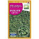 【エントリーでポイント10倍】タキイ種苗 芝生 グランドカバー　ダイカンドラ（コート）【2024/5/9 20時 - 5/16 1時59分】