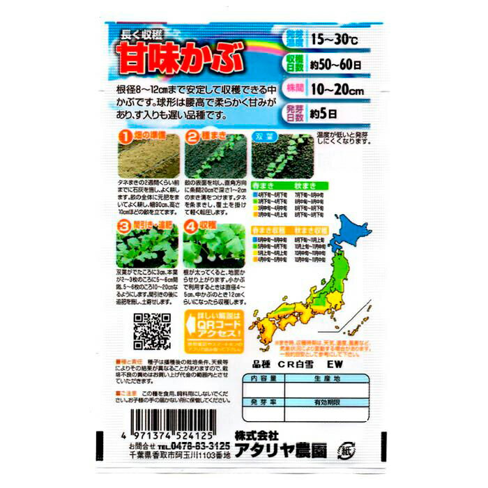 ���� ��̣����