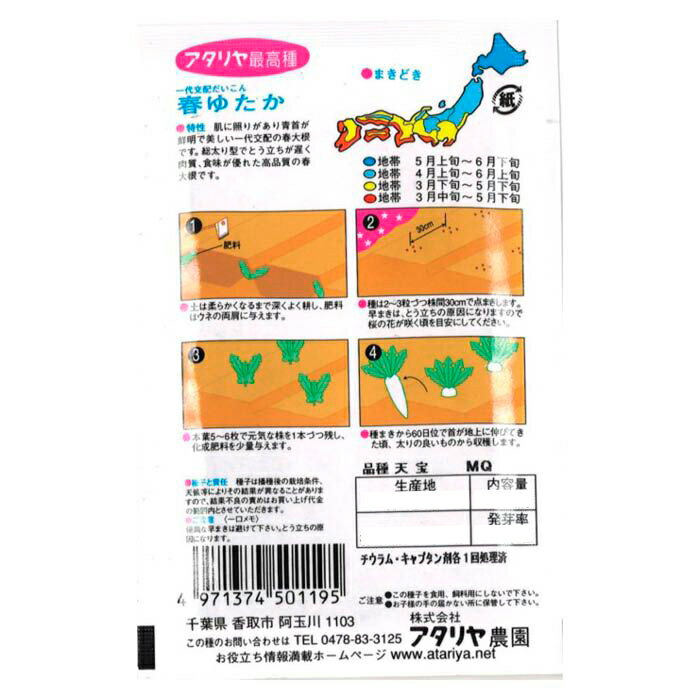 ダイコン 春ゆたか