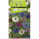 タキイ種苗 ニゲラ ペルシャンジュエル