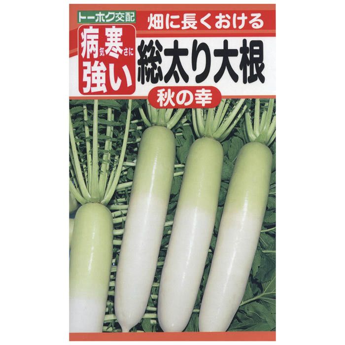 耐病性のある作りやすい青首総太り大根です。やわらかい肉質で美味しく、みずみずしい味わいが楽しめます。耐寒性もあり、す入りも遅いので収穫適期も長いのが特長です。