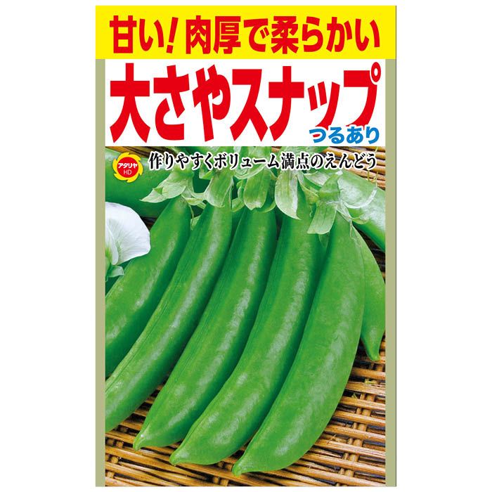 ۡץ饶ʥեŷԾŹ㤨֥ ɥ 礵䥹ʥåפɤפβǤʤ298ߤˤʤޤ