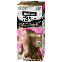 花王 ブローネ 泡カラー 1AH アッシュベージ 108ML