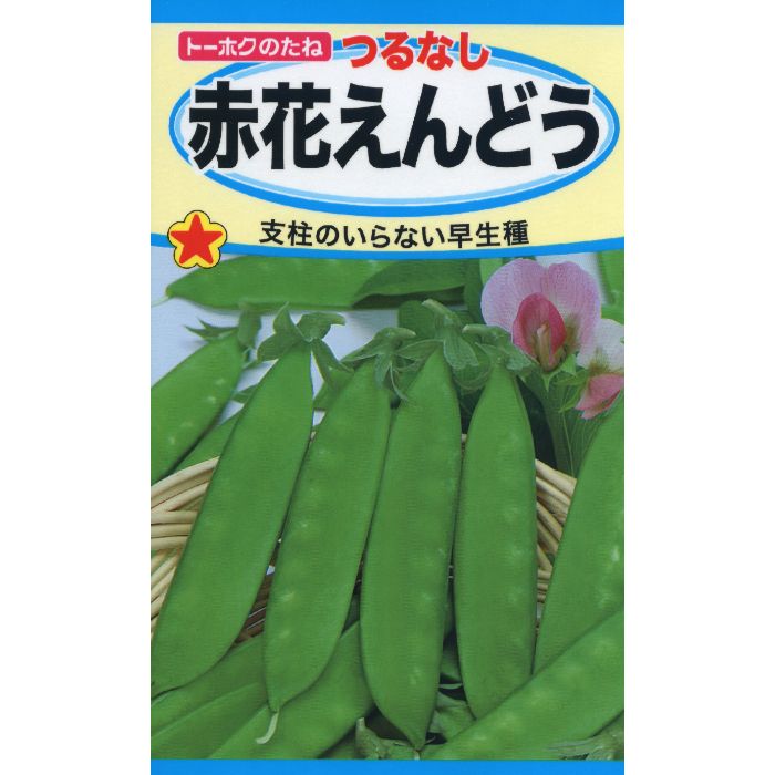 エンドウ つるなし赤花えんどう