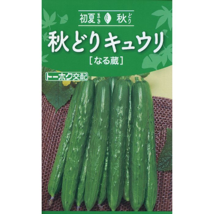 キュウリ 交配秋どりなる蔵