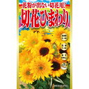 アタリヤ農園 ヒマワリ 花粉が出ない切花用!　切花ひまわり