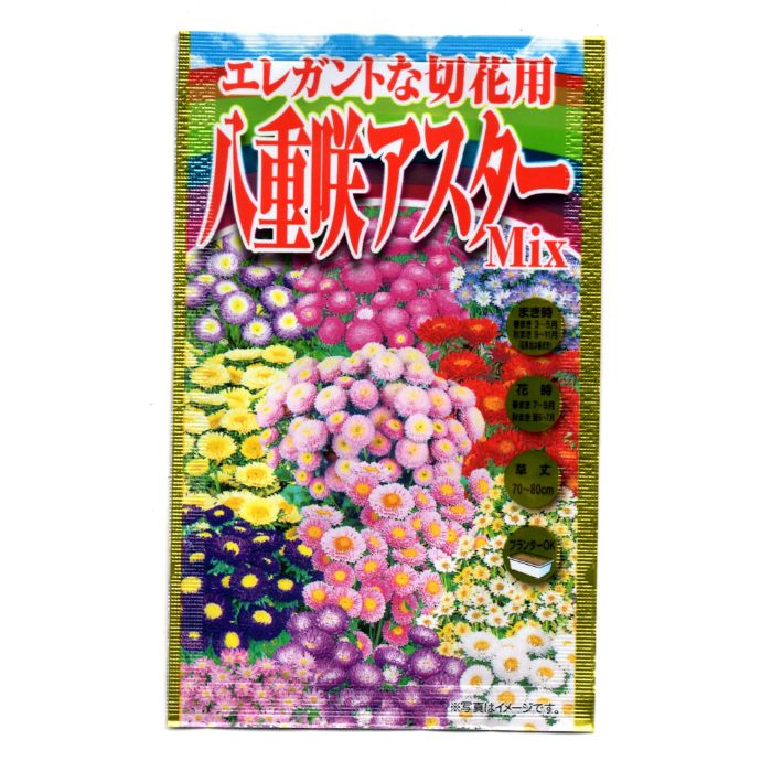 【エントリーでポイント10倍】アタリヤ農園 アスター 八重咲アスター　Mix【2024/5/23 20時 - 5/27 1時59分】