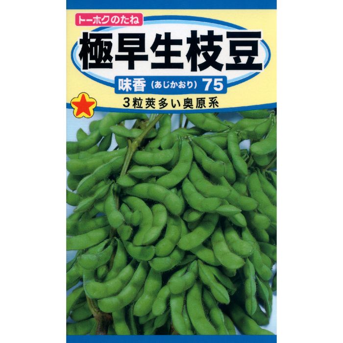 Rakuten - トーホク エダマメ 極早生枝豆味香75