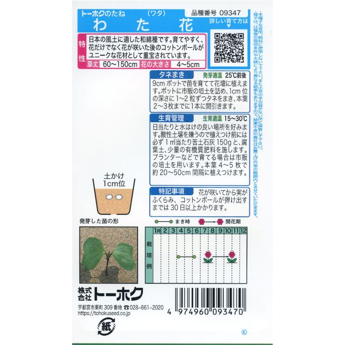 �ȡ��ۥ� �勵�Х� �錄��