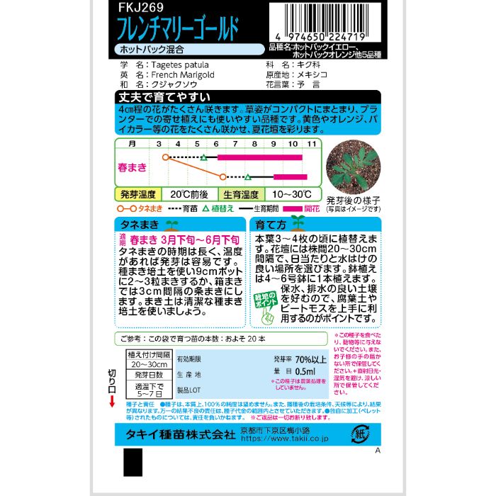 ���������� �ե����ޥ꡼������� �ۥåȥѥå�����