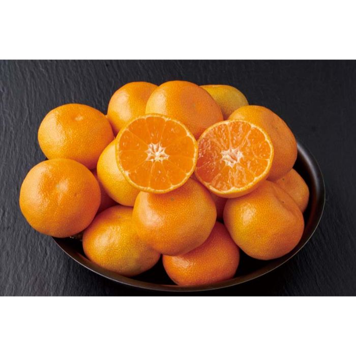 【AM-3G】【おせち】お正月用和歌山県産 有田みかん（金箱）-承り締切：2025年12月11日