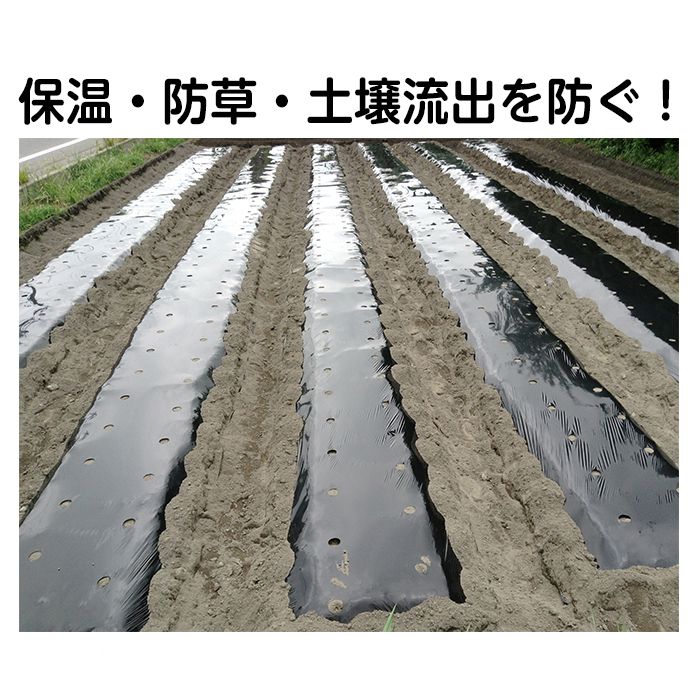 �ʥե� �ڱ��ѥޥ����9515 �ꤢ��ľ��:45mm �����ȥ�����:95cm��10m