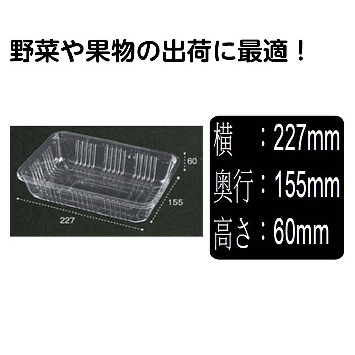 フルーツケース　100P　AP-25