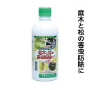 マツグリーン 500ML