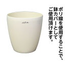 ラスターポット 300型
