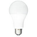 EARTH MAN LED電球15W LL-15A(3)