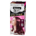 花王 ブローネ 泡カラー 3B ボルドーブラウン 108ML
