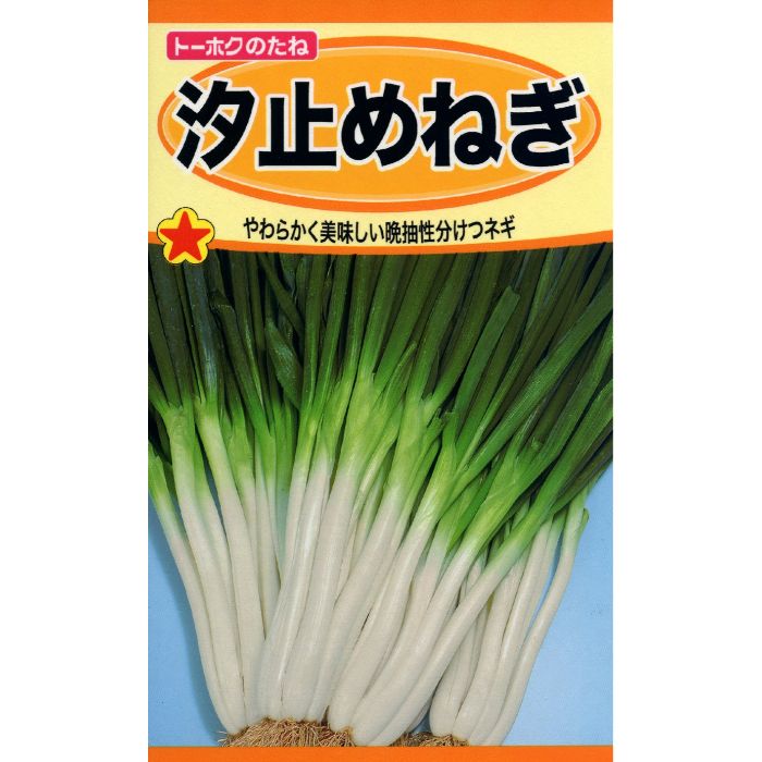 トーホク ネギ 汐止めねぎのサムネイル