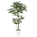 この商品は人口観葉植物です。[サイズ]：H150×W70×D60cm[仕様]：器　SA-8　ポリプロピレン製（サンド仕上げ）※こちらの商品は他の商品と同時にご注文できません。お手数ですが別々にご購入ください。●この商品は、「別送品」商品です。出荷作業のために、ご入力いただいたお客さまのお名前、お届け先情報を出荷先に開示します。ご了承くださいますようお願い申し上げます。なお、出荷情報としてのみ使用し、その他の使用は一切行いません。●北海道・沖縄・離島への配送はいたしかねます。●この商品は、配送地域や場所によっては、別途送料が必要な場合がございます。別途送料が発生する場合には、こちらからご連絡を差し上げますので、予めご了承ください。